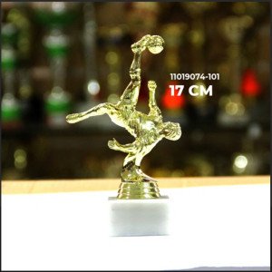 Trophée 11019074-101   COPPA SPORTIVA 95300A